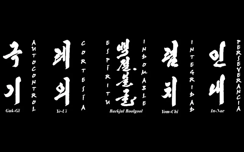 Principios del Taekwon-Do ITF IPTI